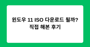 윈도우 11 ISO 다운로드 될까? 직접 해본 후기